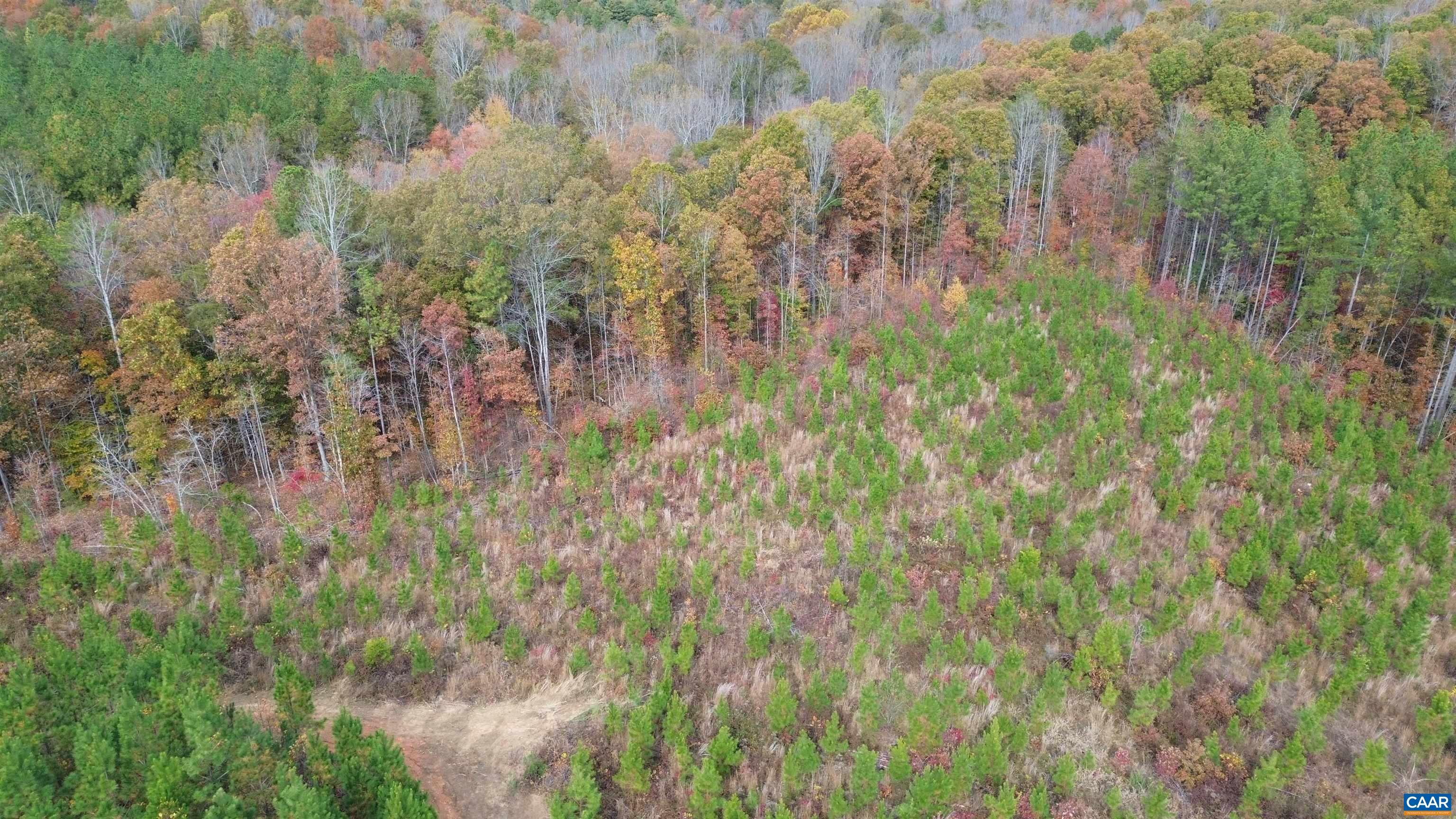 TBA RIDGE RD, ARVONIA, Virginia 23004, ,Land,Ridge Road Lot 1,TBA RIDGE RD,670563 MLS # 670563 TBA RIDGE RD, ARVONIA, Virginia 23004, ,Land,Ridge Road Lot 1,TBA RIDGE RD,670563 MLS # 670563