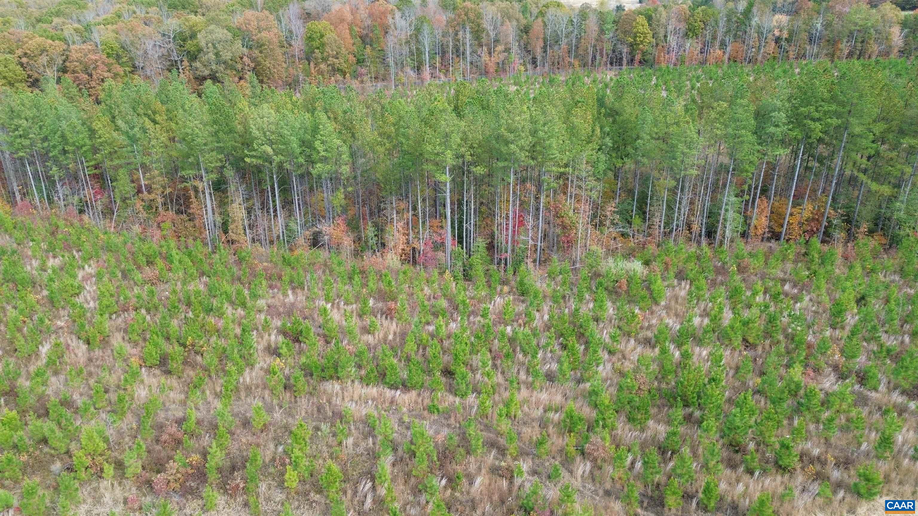 TBA RIDGE RD, ARVONIA, Virginia 23004, ,Land,Ridge Road Lot 1,TBA RIDGE RD,670563 MLS # 670563 TBA RIDGE RD, ARVONIA, Virginia 23004, ,Land,Ridge Road Lot 1,TBA RIDGE RD,670563 MLS # 670563