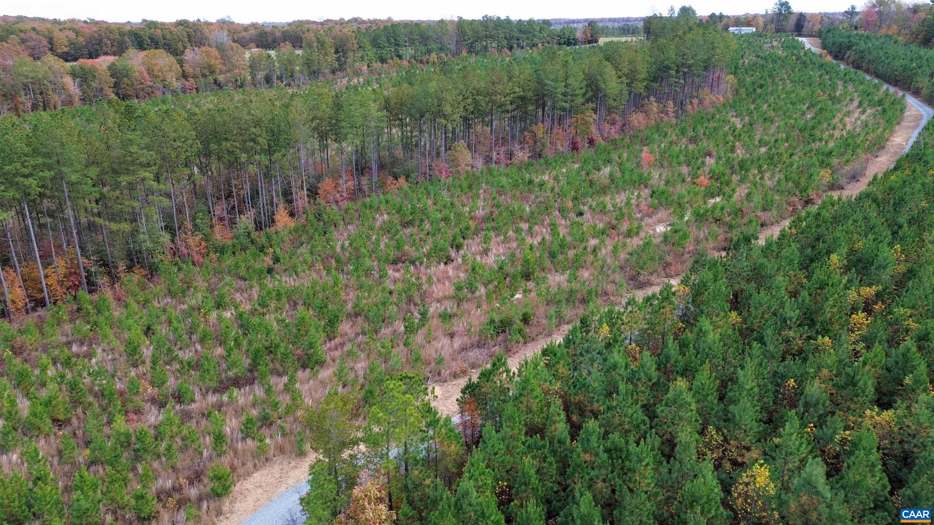 TBA RIDGE RD, ARVONIA, Virginia 23004, ,Land,Ridge Road Lot 1,TBA RIDGE RD,670563 MLS # 670563 TBA RIDGE RD, ARVONIA, Virginia 23004, ,Land,Ridge Road Lot 1,TBA RIDGE RD,670563 MLS # 670563