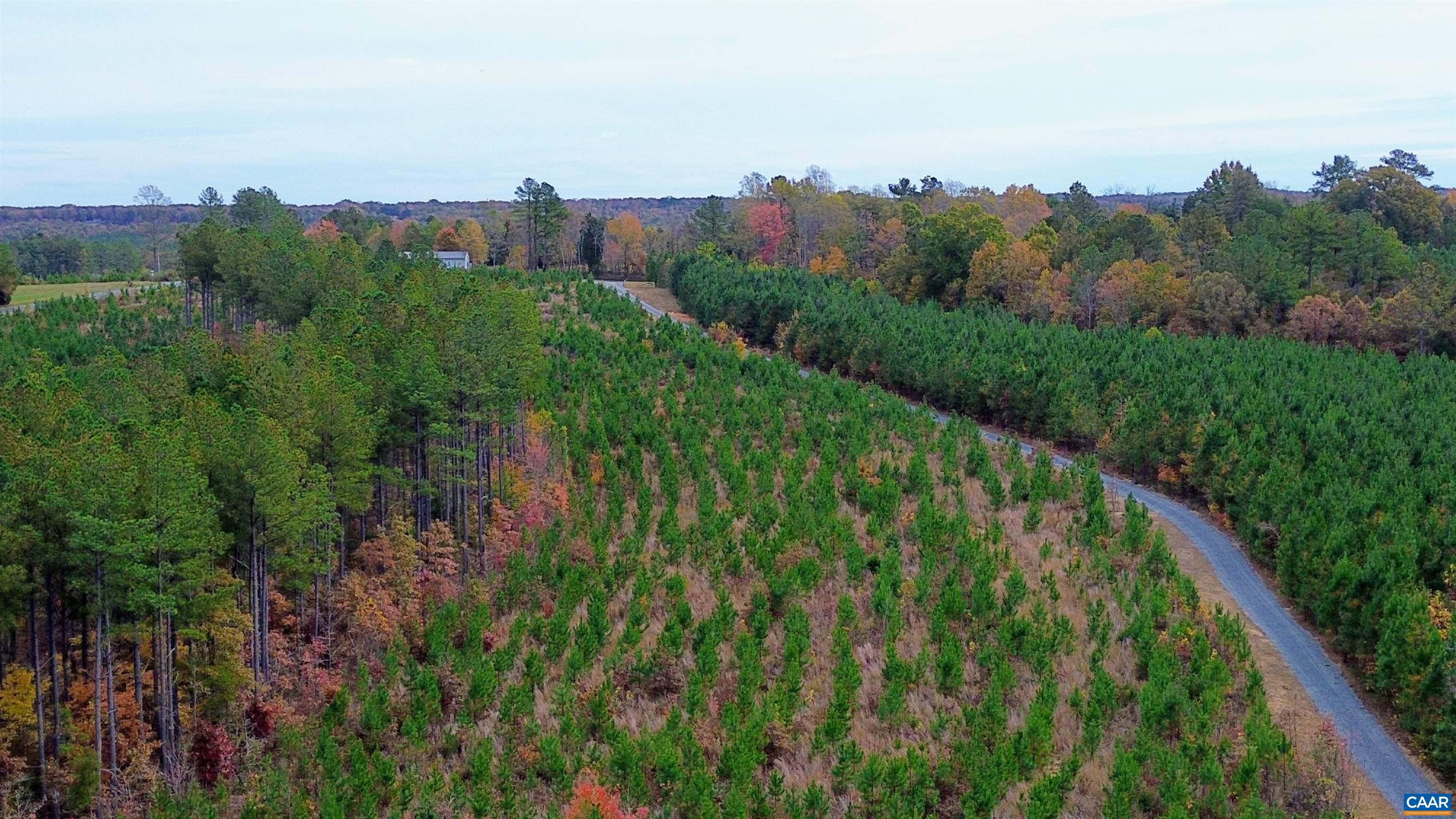TBA RIDGE RD, ARVONIA, Virginia 23004, ,Land,Ridge Road Lot 1,TBA RIDGE RD,670563 MLS # 670563 TBA RIDGE RD, ARVONIA, Virginia 23004, ,Land,Ridge Road Lot 1,TBA RIDGE RD,670563 MLS # 670563