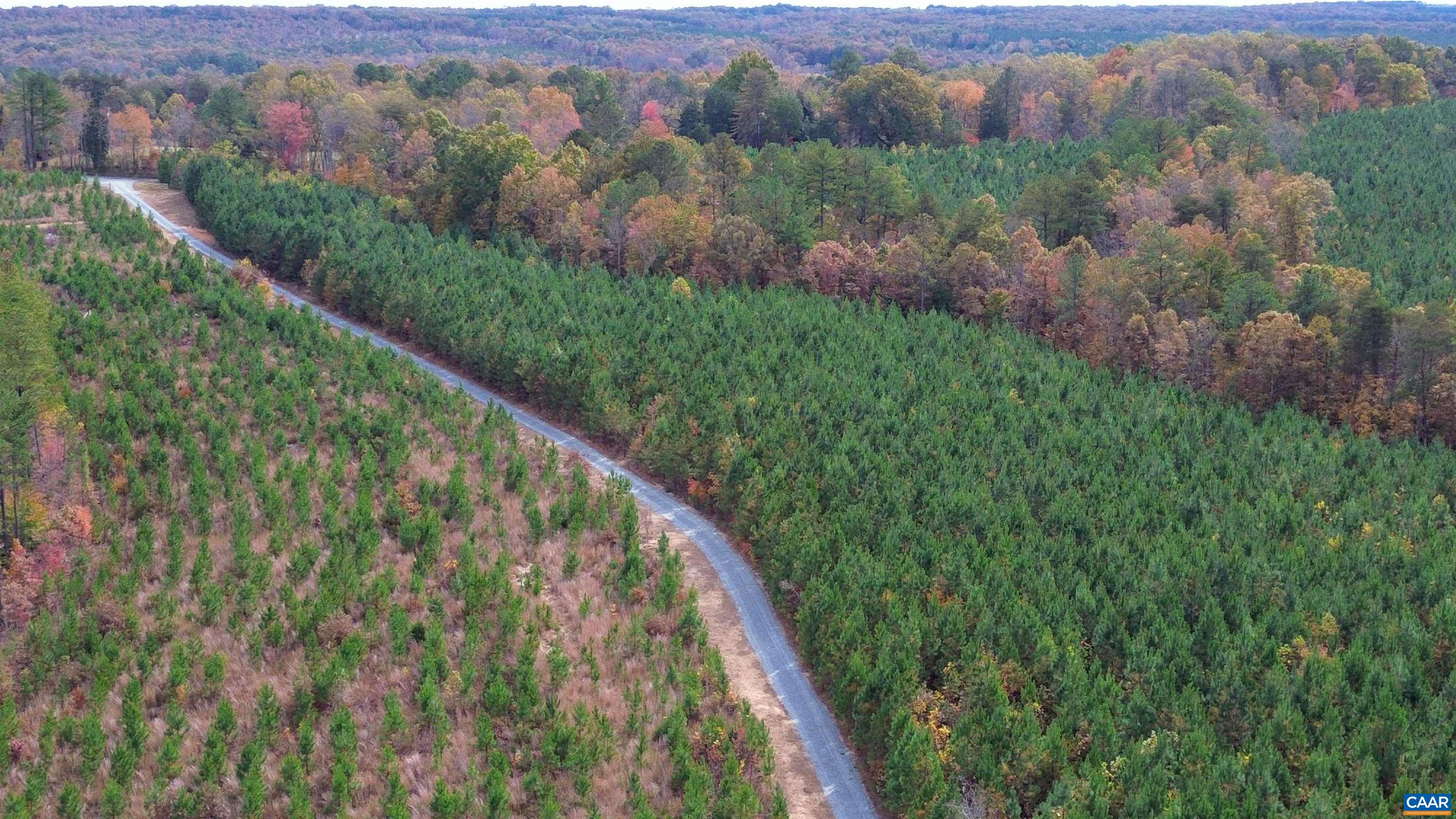 TBA RIDGE RD, ARVONIA, Virginia 23004, ,Land,Ridge Road Lot 1,TBA RIDGE RD,670563 MLS # 670563 TBA RIDGE RD, ARVONIA, Virginia 23004, ,Land,Ridge Road Lot 1,TBA RIDGE RD,670563 MLS # 670563