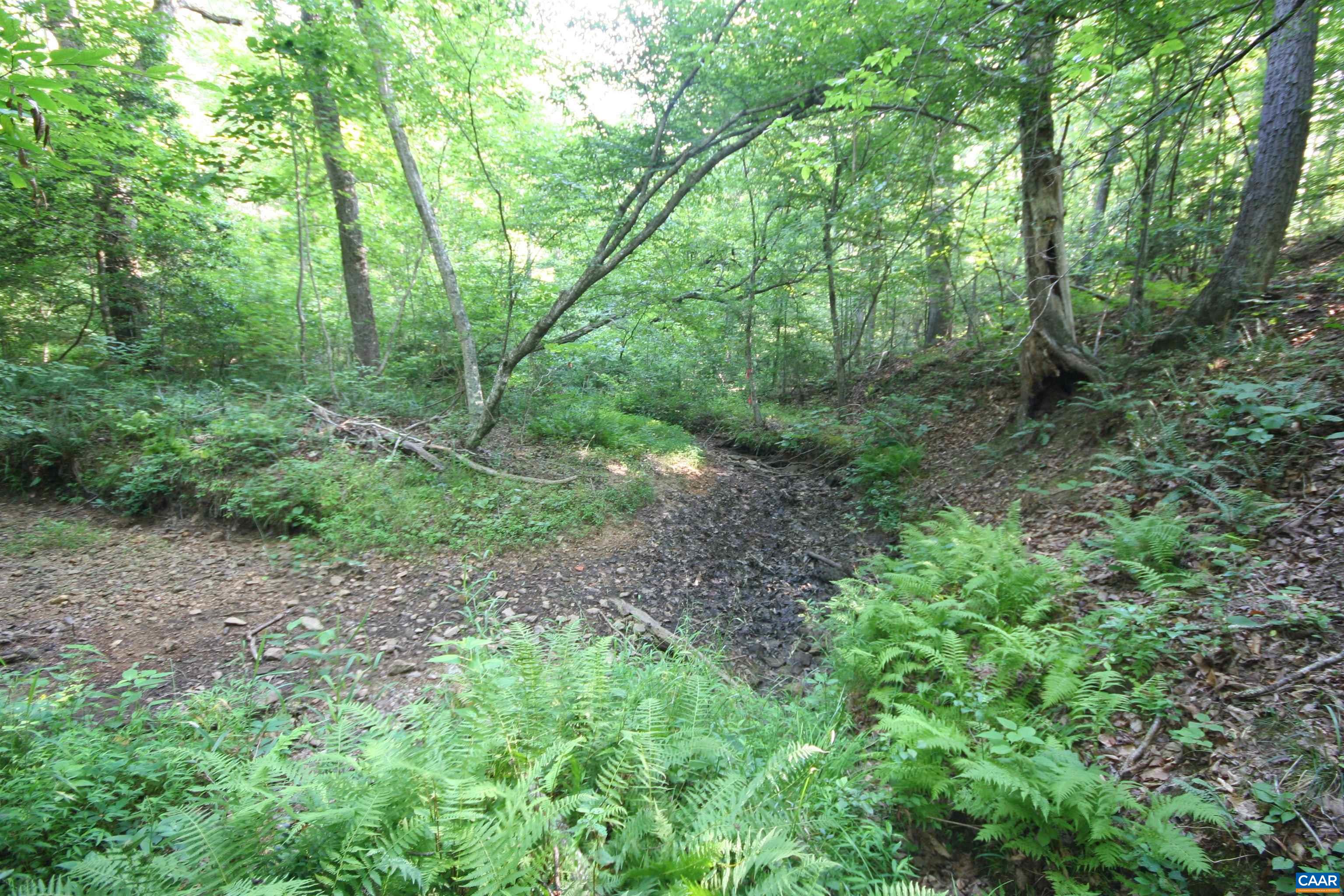 TBA RIDGE RD, ARVONIA, Virginia 23004, ,Land,Ridge Road Lot 1,TBA RIDGE RD,670563 MLS # 670563 TBA RIDGE RD, ARVONIA, Virginia 23004, ,Land,Ridge Road Lot 1,TBA RIDGE RD,670563 MLS # 670563