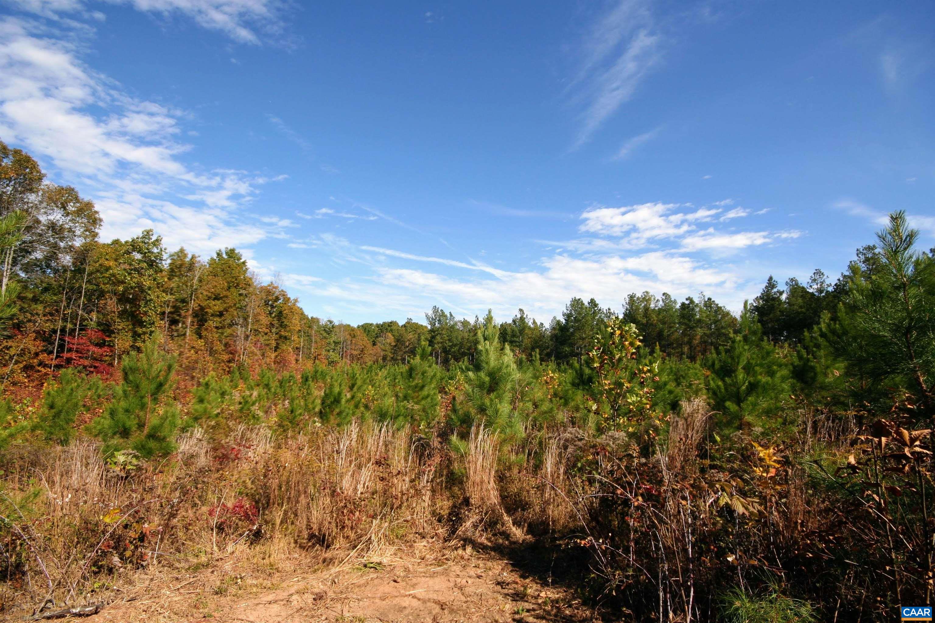 TBA RIDGE RD, ARVONIA, Virginia 23004, ,Land,Ridge Road Lot 1,TBA RIDGE RD,670563 MLS # 670563 TBA RIDGE RD, ARVONIA, Virginia 23004, ,Land,Ridge Road Lot 1,TBA RIDGE RD,670563 MLS # 670563