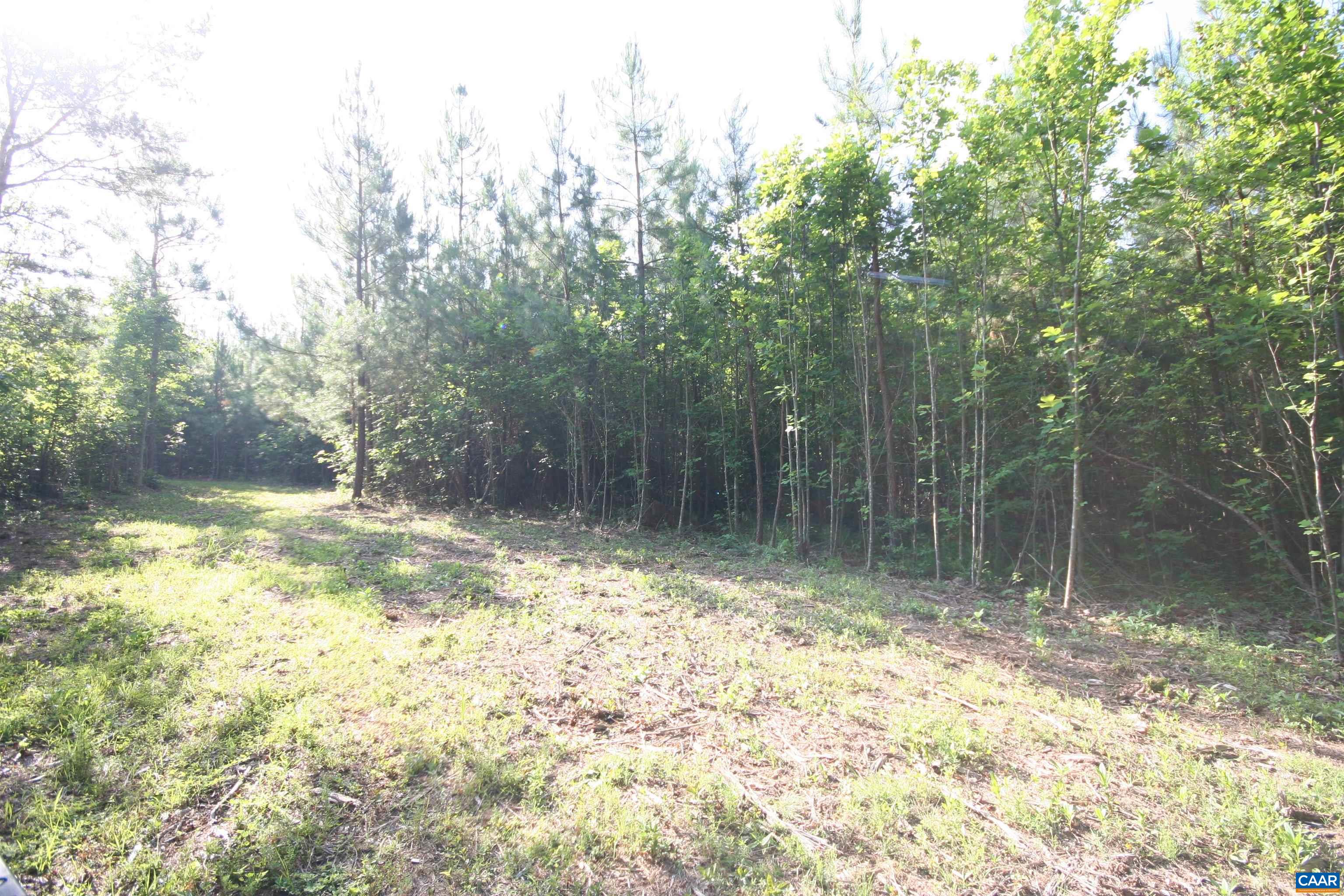 TBA RIDGE RD, ARVONIA, Virginia 23004, ,Land,Ridge Road Lot 1,TBA RIDGE RD,670563 MLS # 670563 TBA RIDGE RD, ARVONIA, Virginia 23004, ,Land,Ridge Road Lot 1,TBA RIDGE RD,670563 MLS # 670563