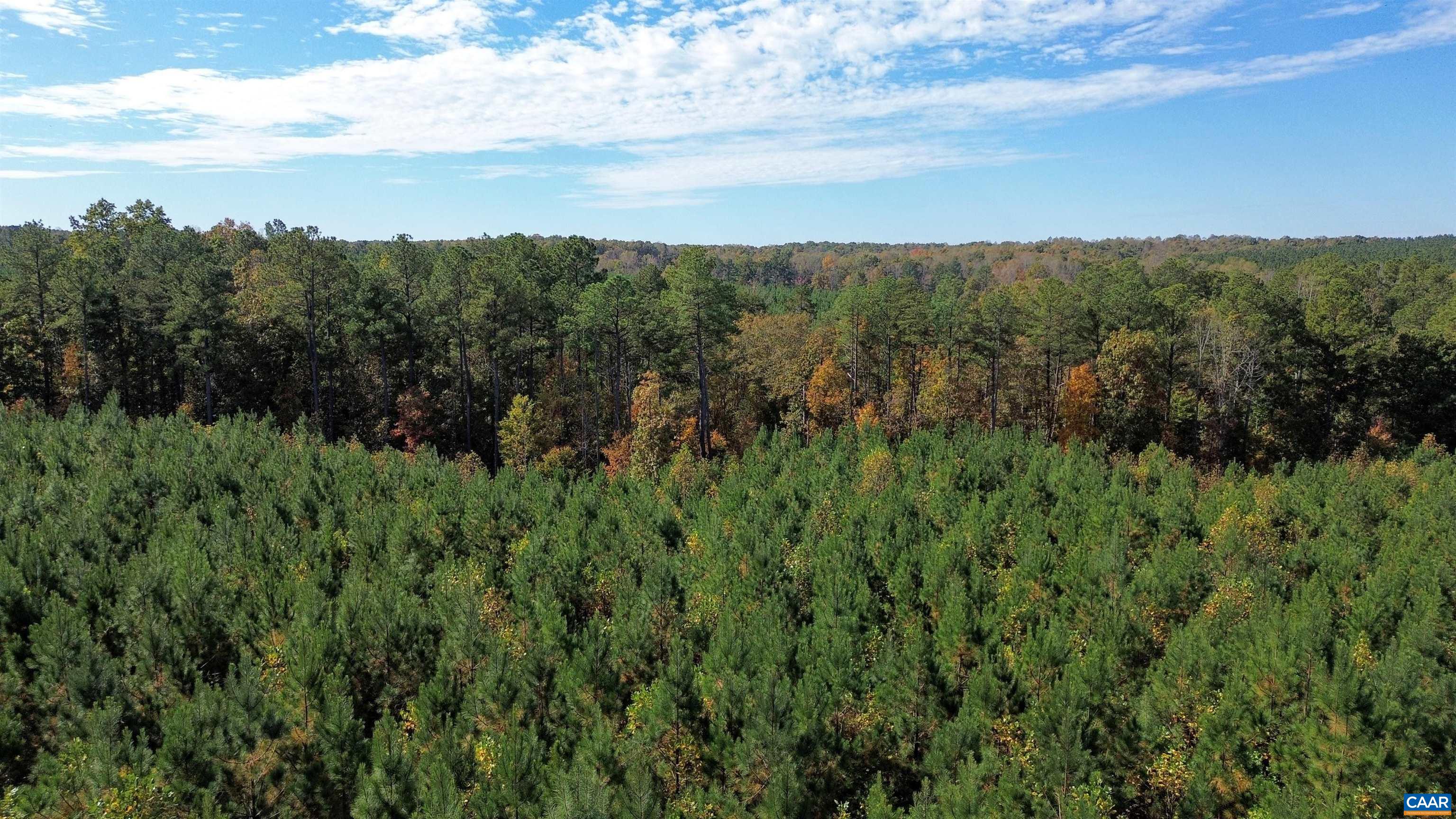 TBA RIDGE RD, ARVONIA, Virginia 23004, ,Land,Ridge Road Lot 1,TBA RIDGE RD,670563 MLS # 670563 TBA RIDGE RD, ARVONIA, Virginia 23004, ,Land,Ridge Road Lot 1,TBA RIDGE RD,670563 MLS # 670563