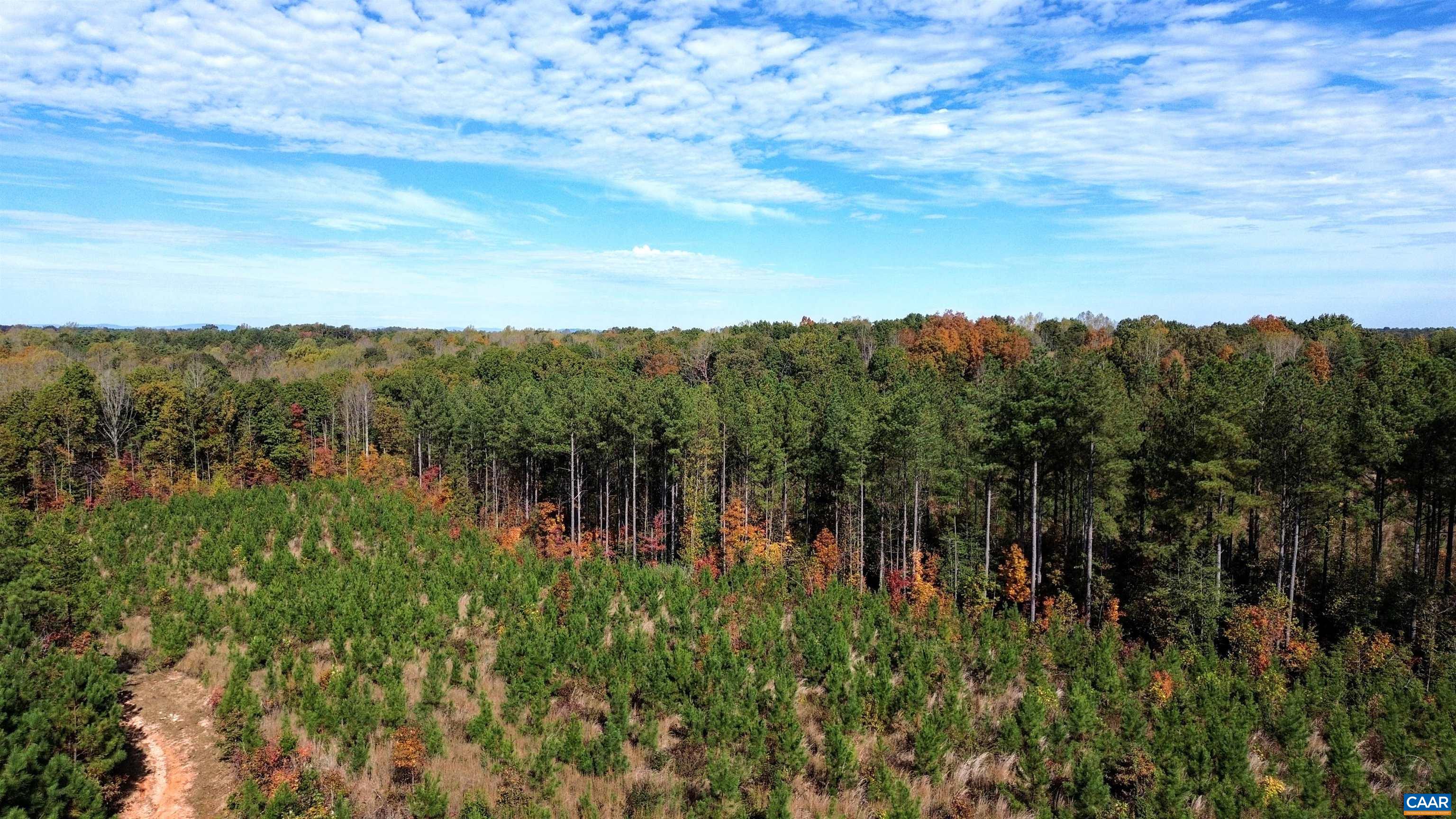 TBA RIDGE RD, ARVONIA, Virginia 23004, ,Land,Ridge Road Lot 1,TBA RIDGE RD,670563 MLS # 670563 TBA RIDGE RD, ARVONIA, Virginia 23004, ,Land,Ridge Road Lot 1,TBA RIDGE RD,670563 MLS # 670563
