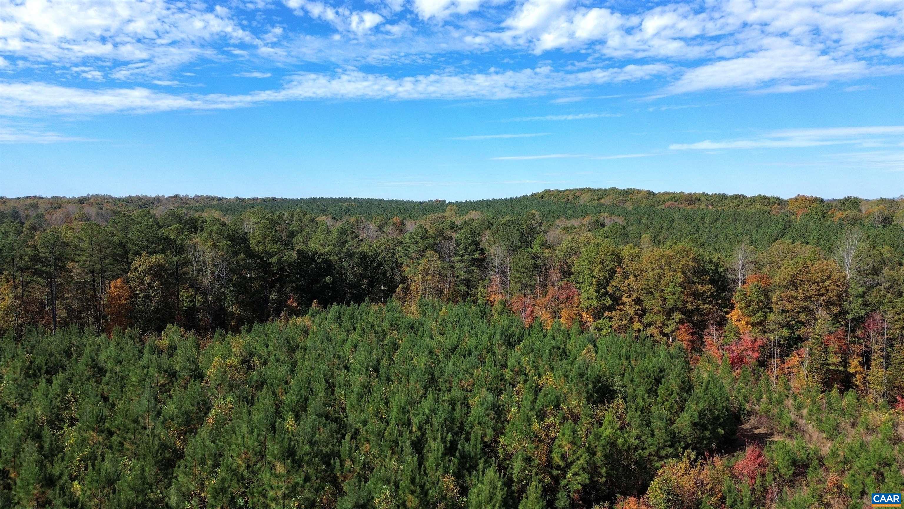TBA RIDGE RD, ARVONIA, Virginia 23004, ,Land,Ridge Road Lot 1,TBA RIDGE RD,670563 MLS # 670563 TBA RIDGE RD, ARVONIA, Virginia 23004, ,Land,Ridge Road Lot 1,TBA RIDGE RD,670563 MLS # 670563