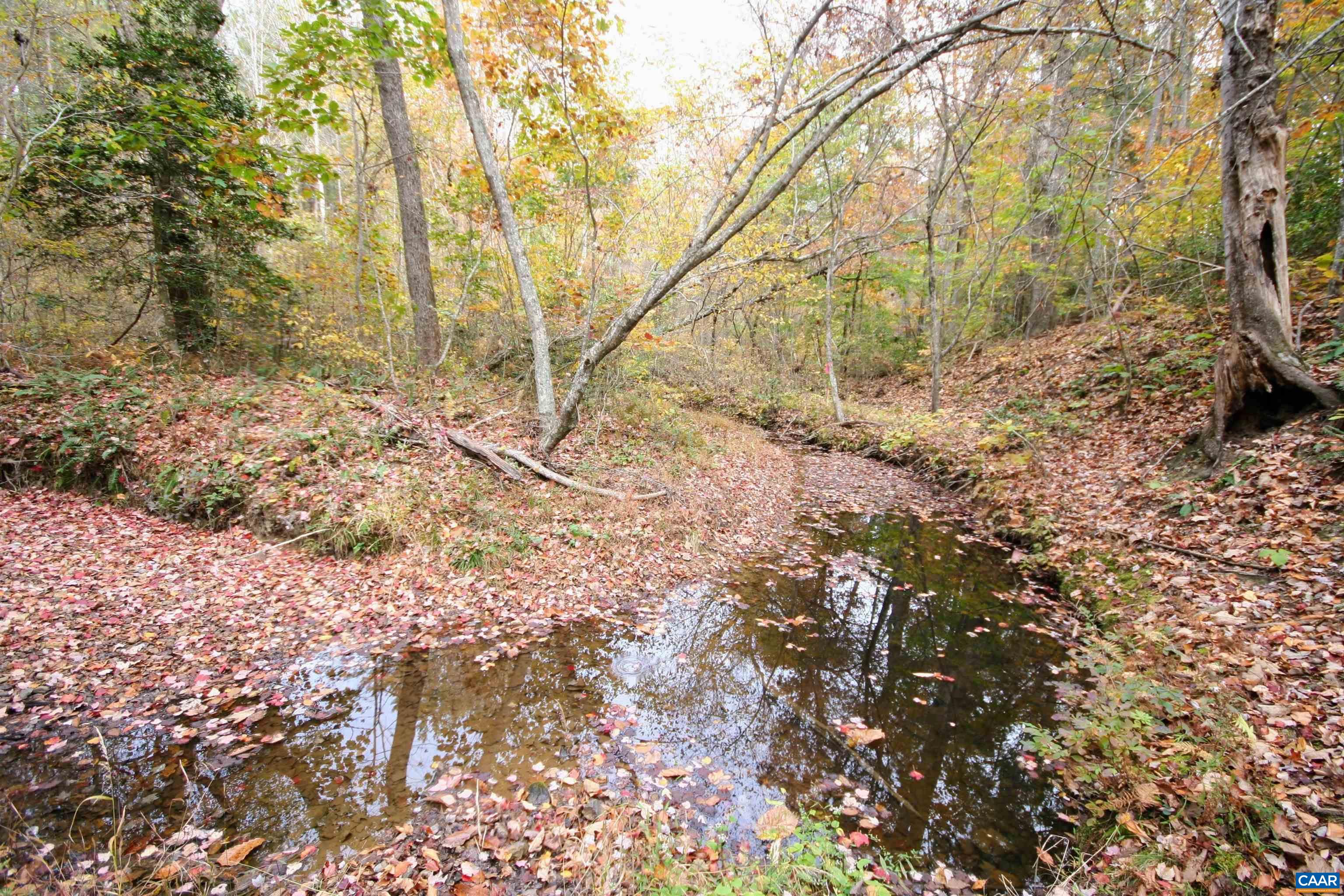 TBA RIDGE RD, ARVONIA, Virginia 23004, ,Land,Ridge Road Lot 1,TBA RIDGE RD,670563 MLS # 670563 TBA RIDGE RD, ARVONIA, Virginia 23004, ,Land,Ridge Road Lot 1,TBA RIDGE RD,670563 MLS # 670563