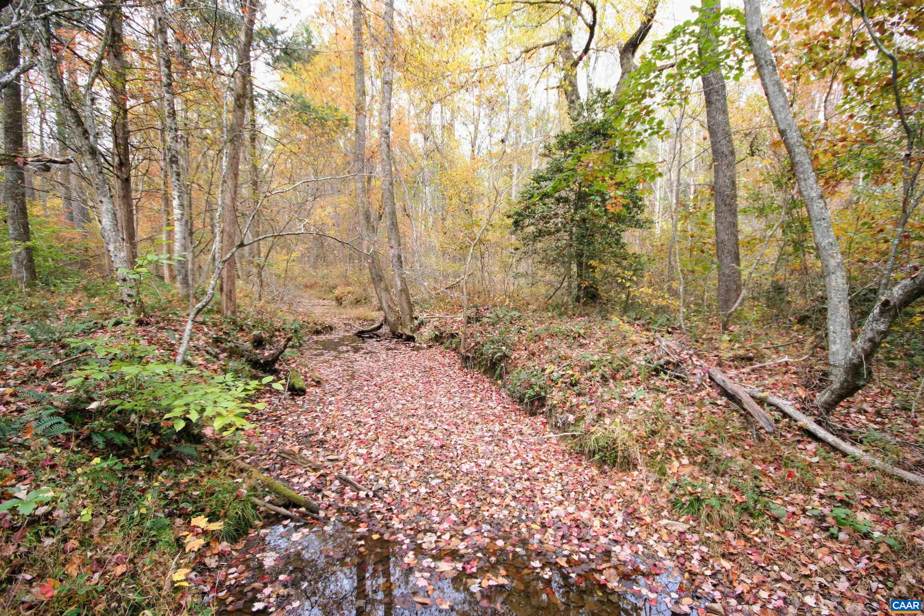 TBA RIDGE RD, ARVONIA, Virginia 23004, ,Land,Ridge Road Lot 1,TBA RIDGE RD,670563 MLS # 670563 TBA RIDGE RD, ARVONIA, Virginia 23004, ,Land,Ridge Road Lot 1,TBA RIDGE RD,670563 MLS # 670563