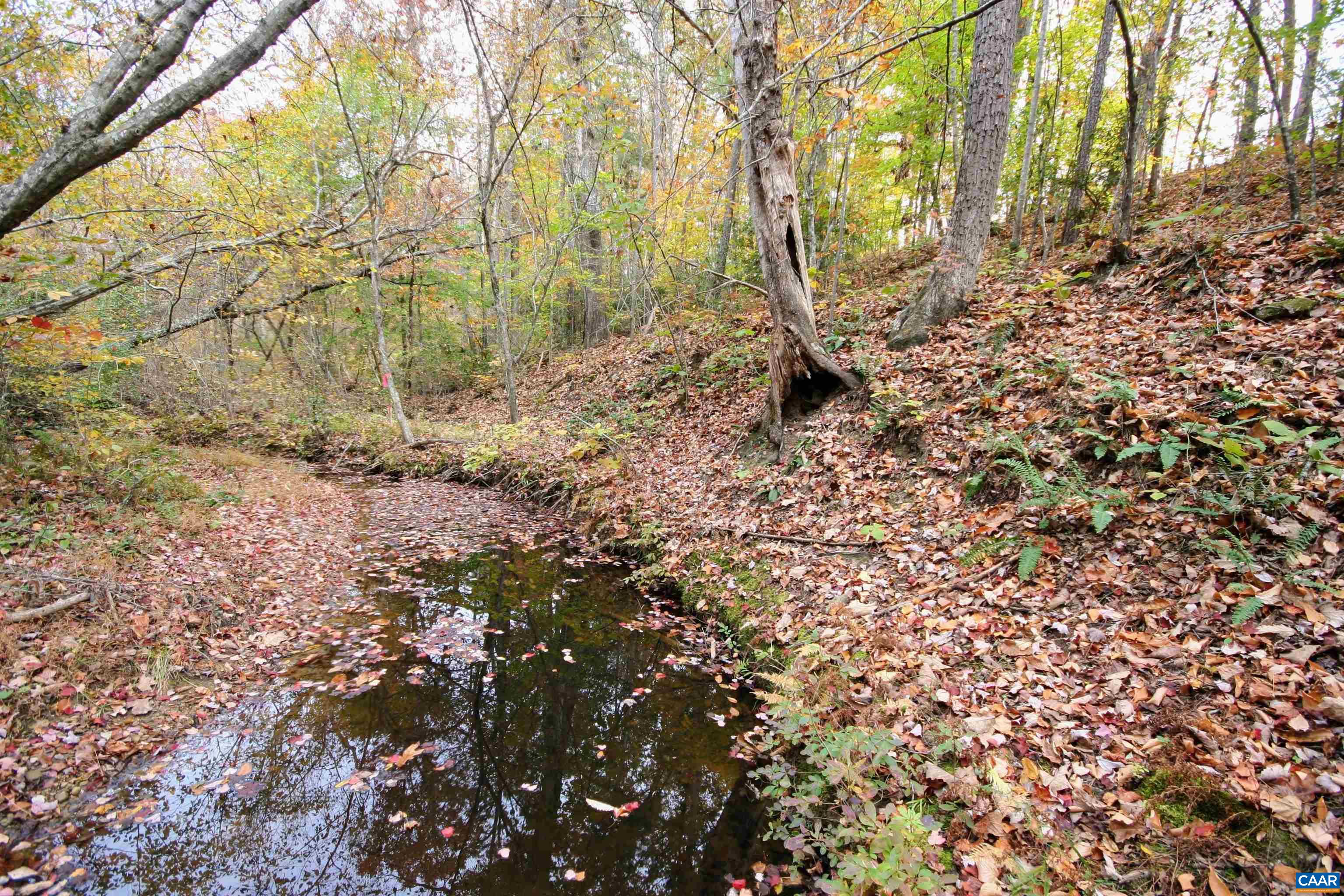TBA RIDGE RD, ARVONIA, Virginia 23004, ,Land,Ridge Road Lot 1,TBA RIDGE RD,670563 MLS # 670563 TBA RIDGE RD, ARVONIA, Virginia 23004, ,Land,Ridge Road Lot 1,TBA RIDGE RD,670563 MLS # 670563