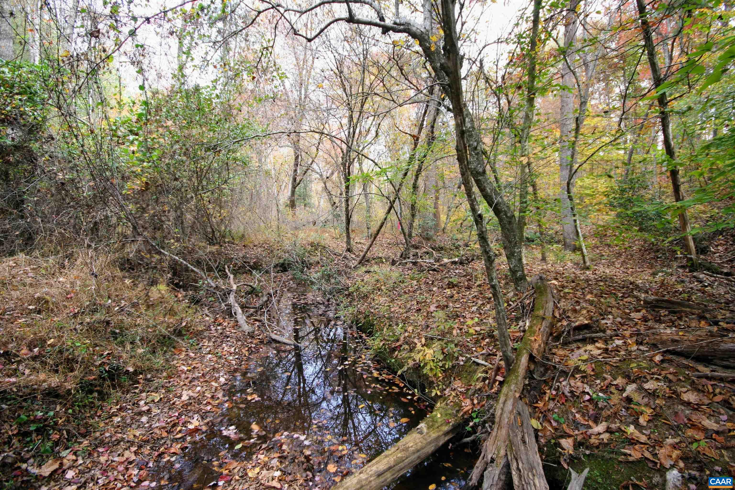 TBA RIDGE RD, ARVONIA, Virginia 23004, ,Land,Ridge Road Lot 1,TBA RIDGE RD,670563 MLS # 670563 TBA RIDGE RD, ARVONIA, Virginia 23004, ,Land,Ridge Road Lot 1,TBA RIDGE RD,670563 MLS # 670563