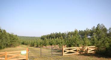 TBA RIDGE RD, ARVONIA, Virginia 23004, ,Land,Ridge Road Lot 1,TBA RIDGE RD,670563 MLS # 670563
