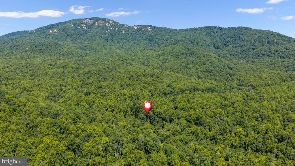 1319 CHAMPE PLAIN, ETLAN, Virginia 22719, 3 Bedrooms Bedrooms, ,2 BathroomsBathrooms,Residential,1319 CHAMPE PLAIN,VAMA2002846 MLS # VAMA2002846 1319 CHAMPE PLAIN, ETLAN, Virginia 22719, 3 Bedrooms Bedrooms, ,2 BathroomsBathrooms,Residential,1319 CHAMPE PLAIN,VAMA2002846 MLS # VAMA2002846