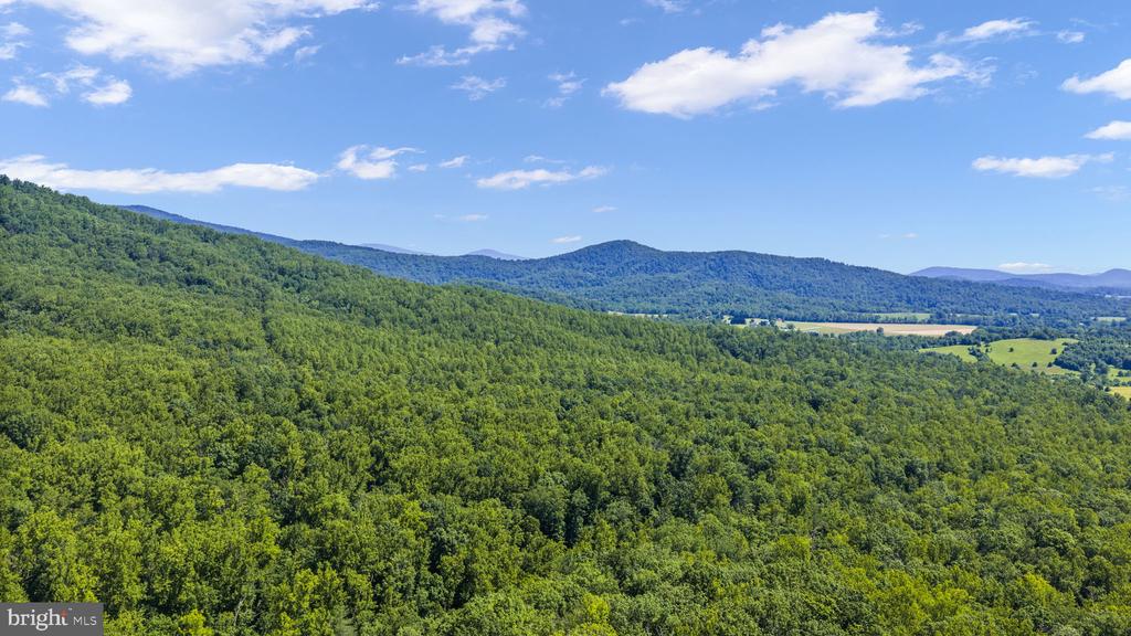 1319 CHAMPE PLAIN, ETLAN, Virginia 22719, 3 Bedrooms Bedrooms, ,2 BathroomsBathrooms,Residential,1319 CHAMPE PLAIN,VAMA2002846 MLS # VAMA2002846 1319 CHAMPE PLAIN, ETLAN, Virginia 22719, 3 Bedrooms Bedrooms, ,2 BathroomsBathrooms,Residential,1319 CHAMPE PLAIN,VAMA2002846 MLS # VAMA2002846