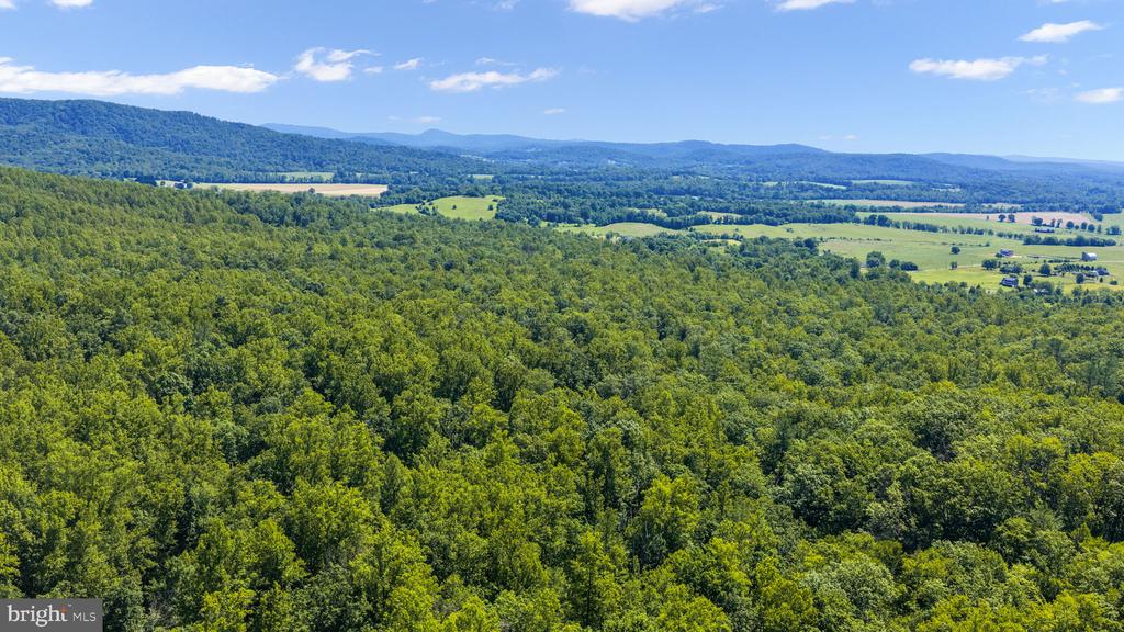 1319 CHAMPE PLAIN, ETLAN, Virginia 22719, 3 Bedrooms Bedrooms, ,2 BathroomsBathrooms,Residential,1319 CHAMPE PLAIN,VAMA2002846 MLS # VAMA2002846 1319 CHAMPE PLAIN, ETLAN, Virginia 22719, 3 Bedrooms Bedrooms, ,2 BathroomsBathrooms,Residential,1319 CHAMPE PLAIN,VAMA2002846 MLS # VAMA2002846