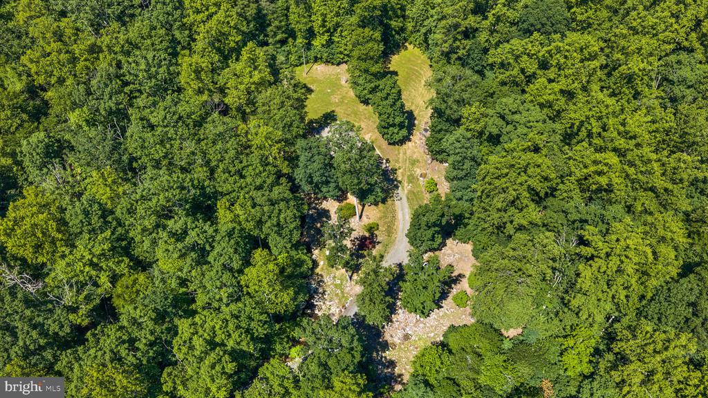 1319 CHAMPE PLAIN, ETLAN, Virginia 22719, 3 Bedrooms Bedrooms, ,2 BathroomsBathrooms,Residential,1319 CHAMPE PLAIN,VAMA2002846 MLS # VAMA2002846 1319 CHAMPE PLAIN, ETLAN, Virginia 22719, 3 Bedrooms Bedrooms, ,2 BathroomsBathrooms,Residential,1319 CHAMPE PLAIN,VAMA2002846 MLS # VAMA2002846