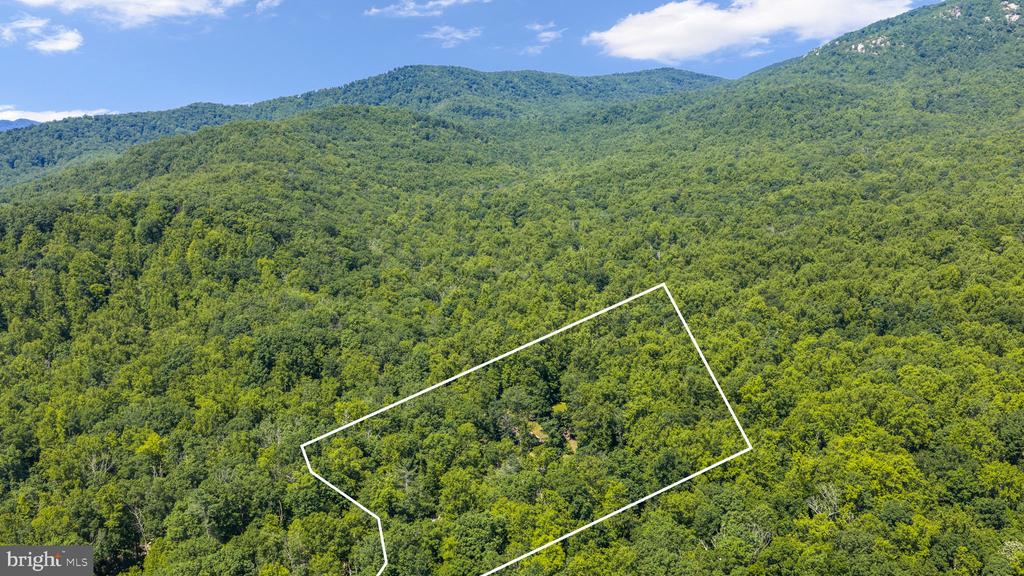1319 CHAMPE PLAIN, ETLAN, Virginia 22719, 3 Bedrooms Bedrooms, ,2 BathroomsBathrooms,Residential,1319 CHAMPE PLAIN,VAMA2002846 MLS # VAMA2002846 1319 CHAMPE PLAIN, ETLAN, Virginia 22719, 3 Bedrooms Bedrooms, ,2 BathroomsBathrooms,Residential,1319 CHAMPE PLAIN,VAMA2002846 MLS # VAMA2002846