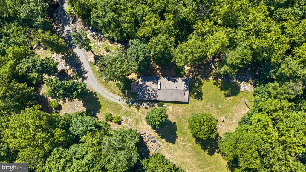 1319 CHAMPE PLAIN, ETLAN, Virginia 22719, 3 Bedrooms Bedrooms, ,2 BathroomsBathrooms,Residential,1319 CHAMPE PLAIN,VAMA2002846 MLS # VAMA2002846 1319 CHAMPE PLAIN, ETLAN, Virginia 22719, 3 Bedrooms Bedrooms, ,2 BathroomsBathrooms,Residential,1319 CHAMPE PLAIN,VAMA2002846 MLS # VAMA2002846