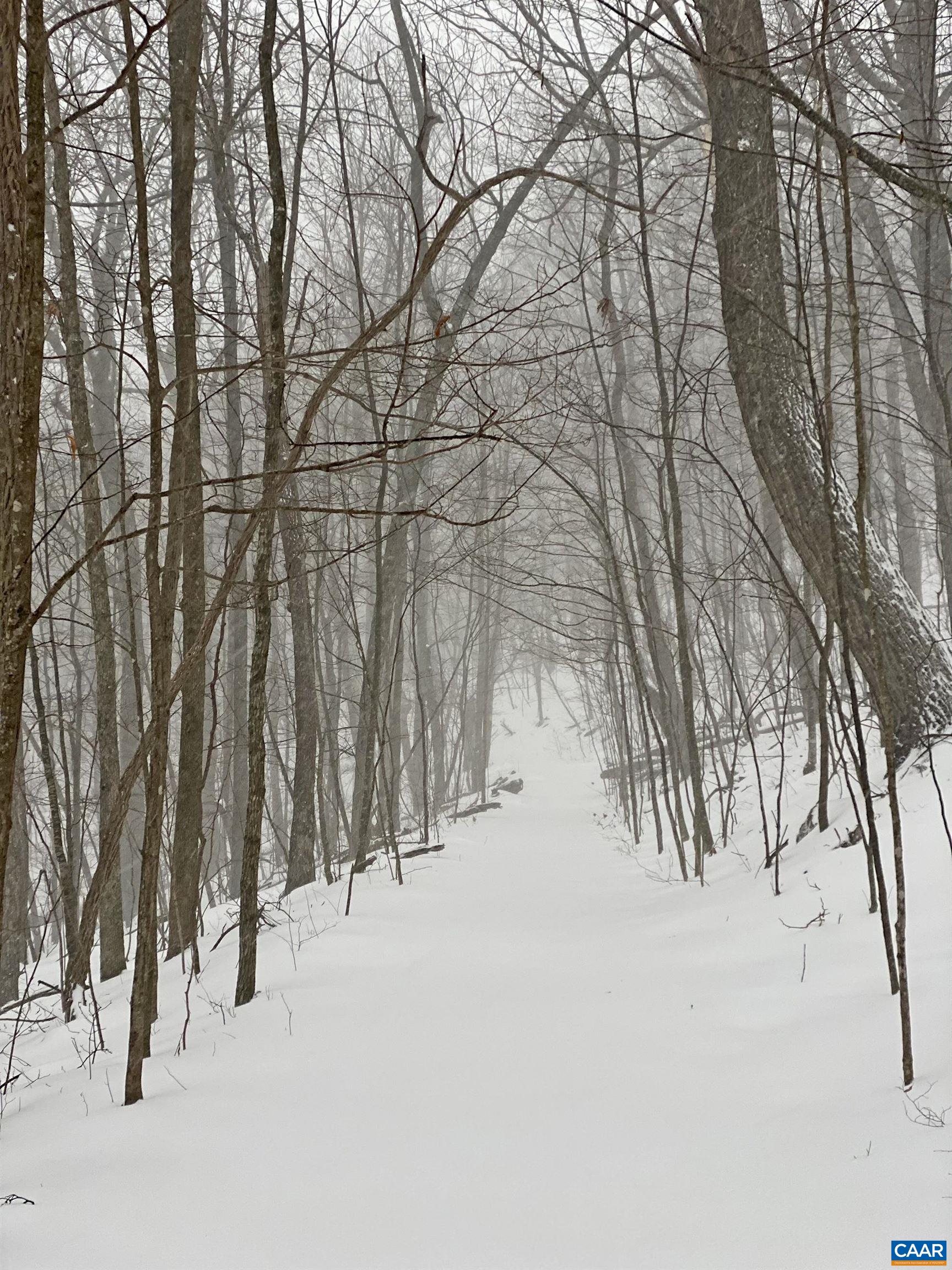 Miles of scenic hiking trails are just a short walk from the home Miles of scenic hiking trails are just a short walk from the home