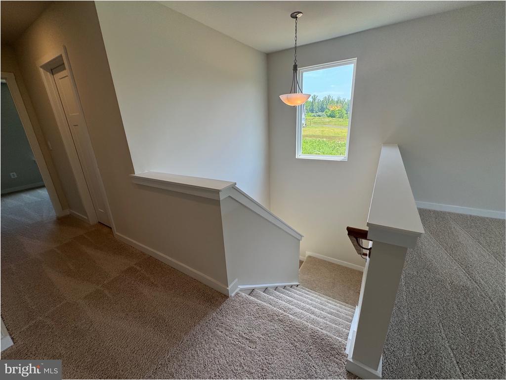 9117 BELL MARE LN, RIXEYVILLE, Virginia 22737, 3 Bedrooms Bedrooms, ,2 BathroomsBathrooms,Residential,9117 BELL MARE LN,VACU2014278 MLS # VACU2014278