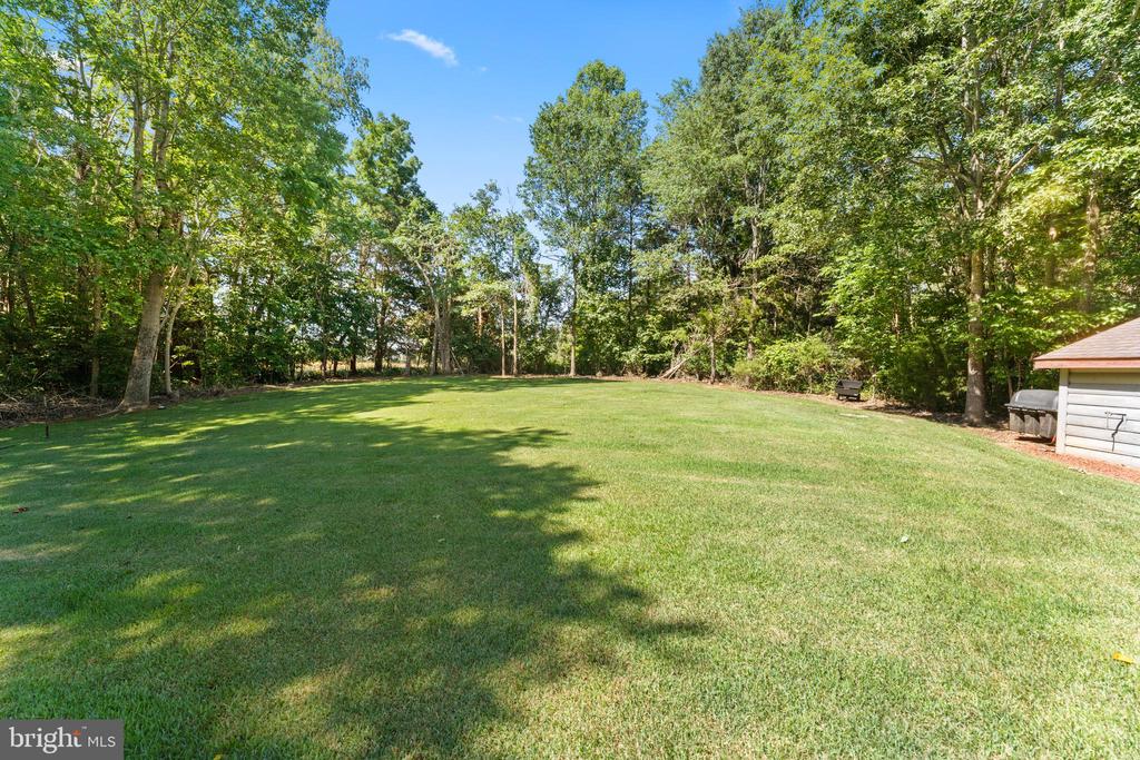16020 CARRINGTON CT, MINERAL, Virginia 23117, 3 Bedrooms Bedrooms, ,3 BathroomsBathrooms,Residential,KELLY'S LANDING HOA,16020 CARRINGTON CT,VASP2042960 MLS # VASP2042960 16020 CARRINGTON CT, MINERAL, Virginia 23117, 3 Bedrooms Bedrooms, ,3 BathroomsBathrooms,Residential,KELLY'S LANDING HOA,16020 CARRINGTON CT,VASP2042960 MLS # VASP2042960