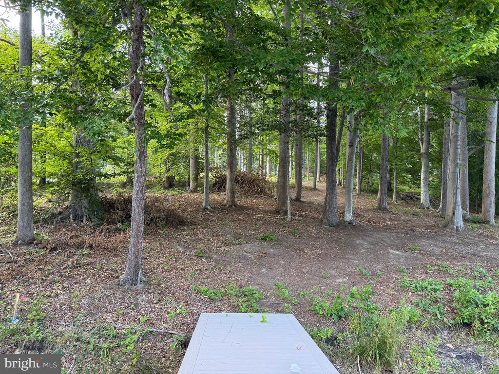 268 COMPASS COVE, MINERAL, Virginia 23117, ,Land,268 COMPASS COVE,VALA2010170 MLS # VALA2010170 268 COMPASS COVE, MINERAL, Virginia 23117, ,Land,268 COMPASS COVE,VALA2010170 MLS # VALA2010170