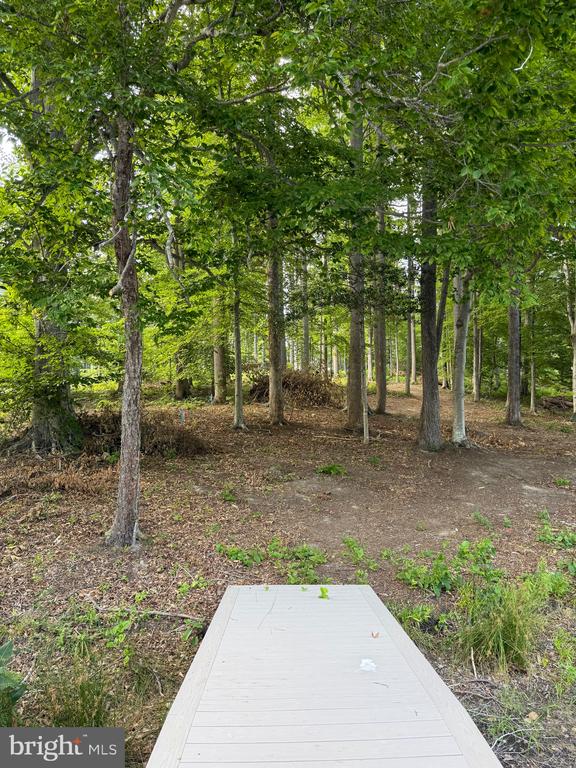 268 COMPASS COVE, MINERAL, Virginia 23117, ,Land,268 COMPASS COVE,VALA2010170 MLS # VALA2010170 268 COMPASS COVE, MINERAL, Virginia 23117, ,Land,268 COMPASS COVE,VALA2010170 MLS # VALA2010170