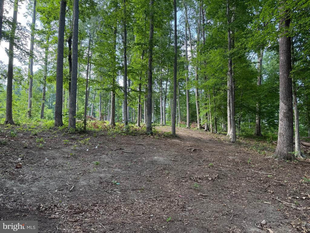 268 COMPASS COVE, MINERAL, Virginia 23117, ,Land,268 COMPASS COVE,VALA2010170 MLS # VALA2010170 268 COMPASS COVE, MINERAL, Virginia 23117, ,Land,268 COMPASS COVE,VALA2010170 MLS # VALA2010170