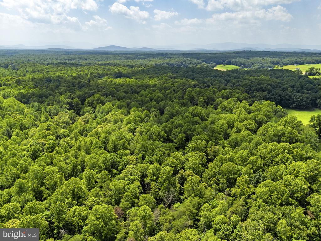 COUNTRY CREEK, AMISSVILLE, Virginia 20106, ,Land,COUNTRY CREEK,VACU2014232 MLS # VACU2014232