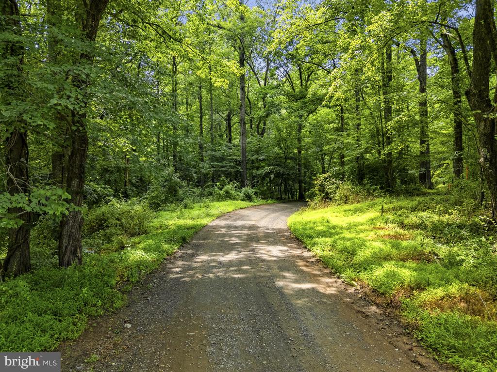 COUNTRY CREEK, AMISSVILLE, Virginia 20106, ,Land,COUNTRY CREEK,VACU2014232 MLS # VACU2014232