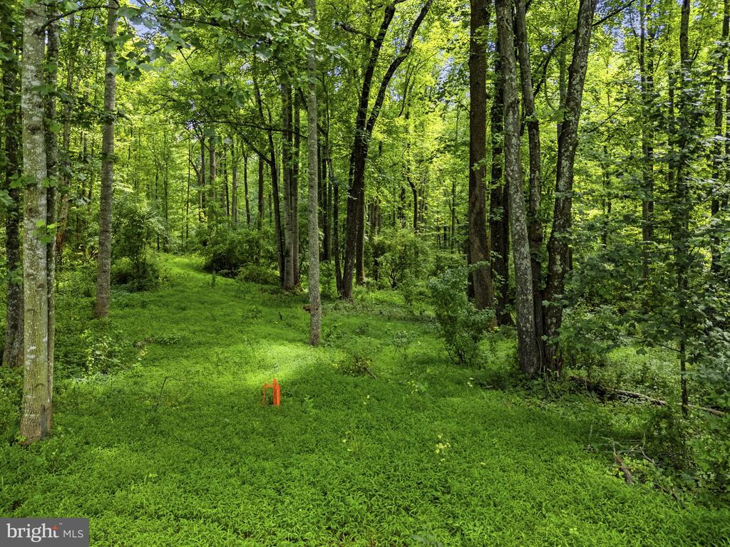 COUNTRY CREEK, AMISSVILLE, Virginia 20106, ,Land,COUNTRY CREEK,VACU2014232 MLS # VACU2014232