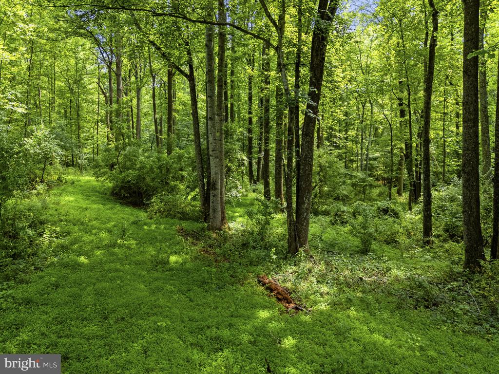 COUNTRY CREEK, AMISSVILLE, Virginia 20106, ,Land,COUNTRY CREEK,VACU2014232 MLS # VACU2014232