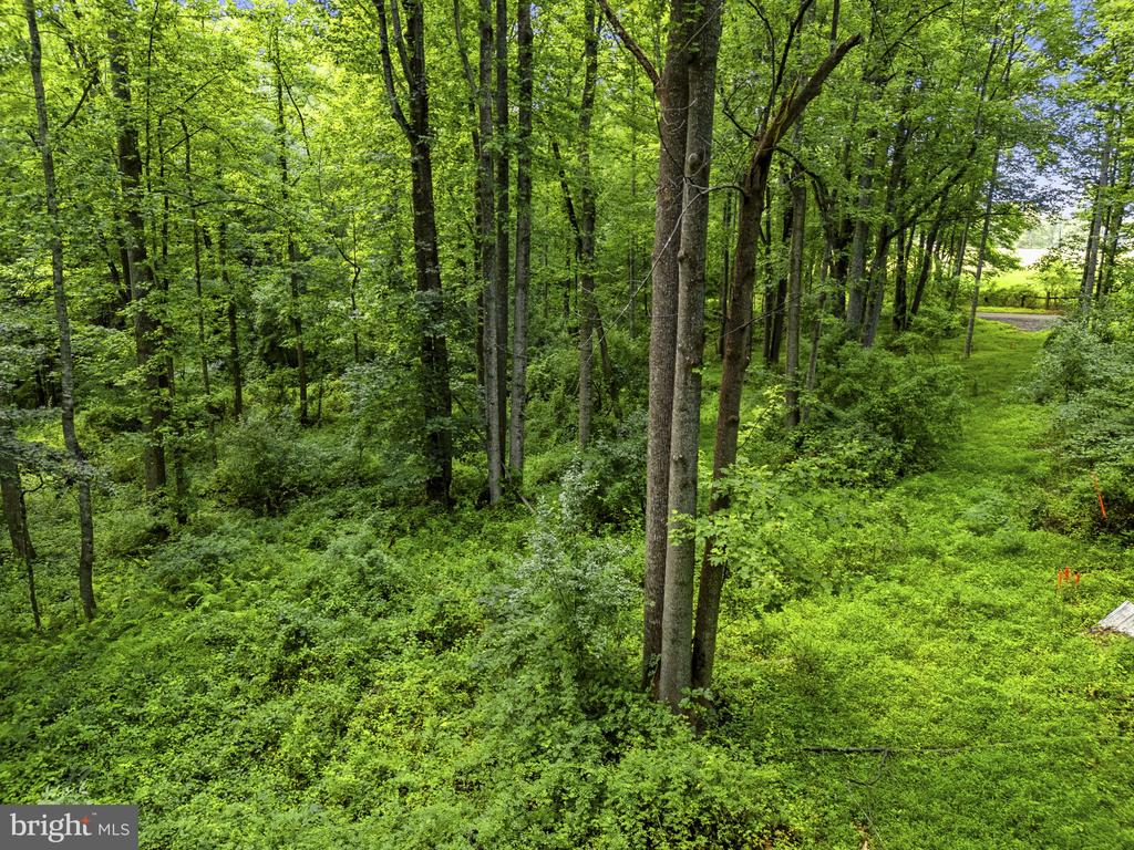 COUNTRY CREEK, AMISSVILLE, Virginia 20106, ,Land,COUNTRY CREEK,VACU2014232 MLS # VACU2014232