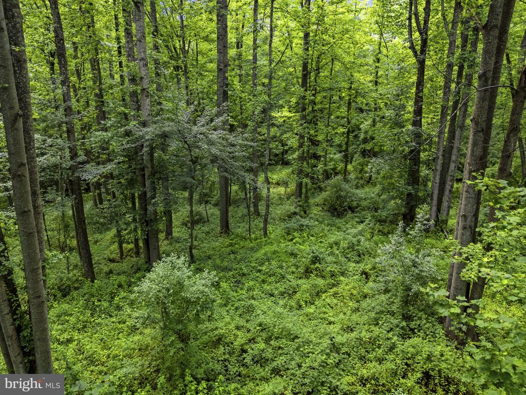 COUNTRY CREEK, AMISSVILLE, Virginia 20106, ,Land,COUNTRY CREEK,VACU2014232 MLS # VACU2014232