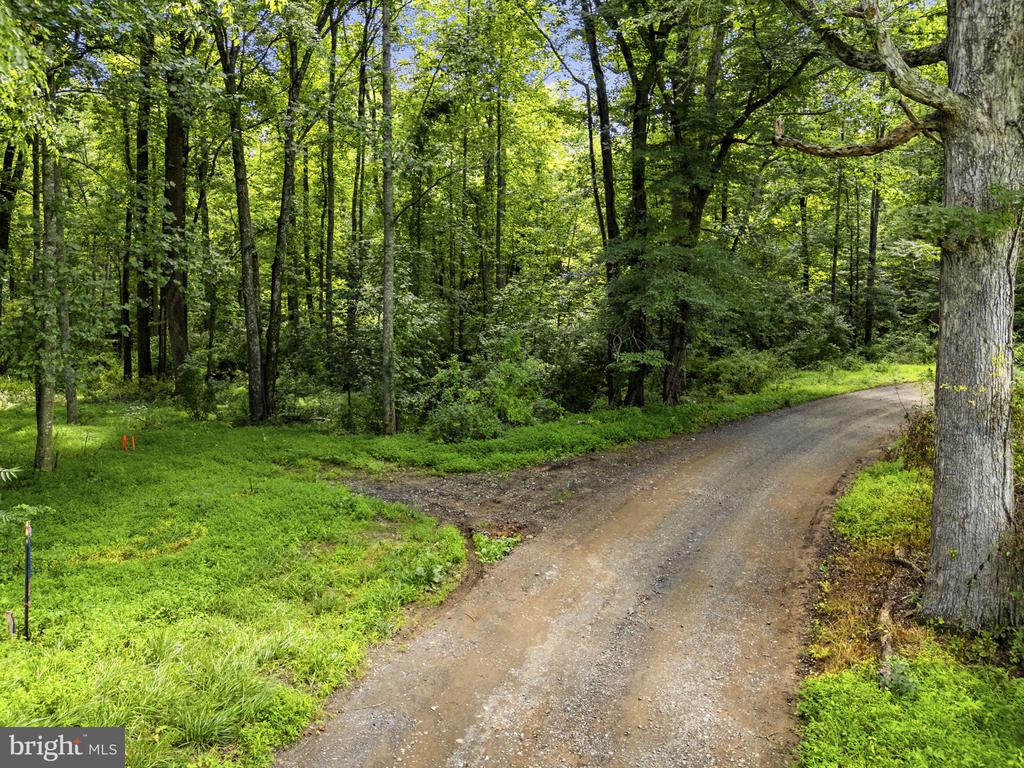 COUNTRY CREEK, AMISSVILLE, Virginia 20106, ,Land,COUNTRY CREEK,VACU2014232 MLS # VACU2014232