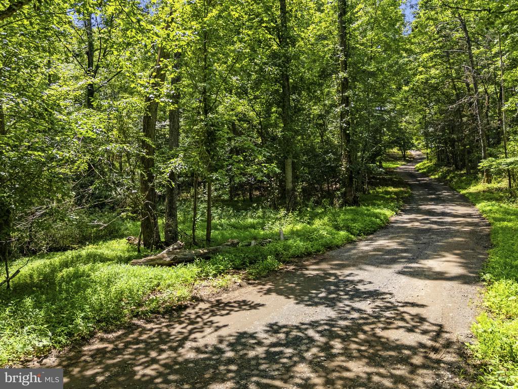 COUNTRY CREEK, AMISSVILLE, Virginia 20106, ,Land,COUNTRY CREEK,VACU2014232 MLS # VACU2014232