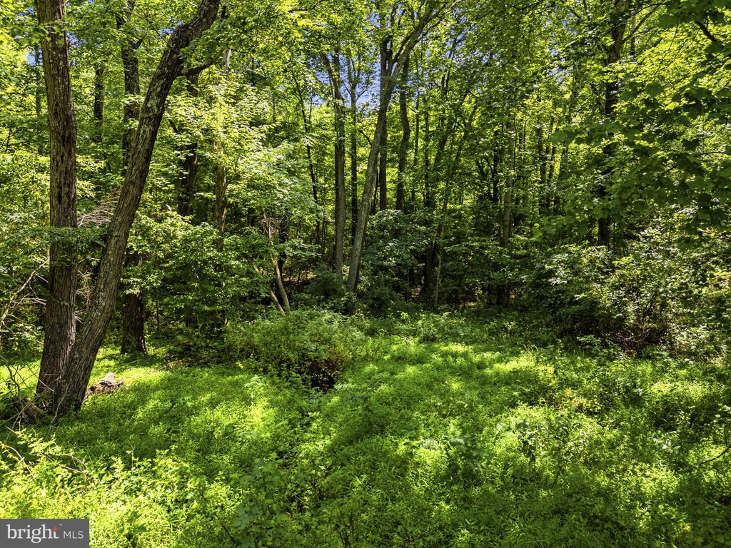 COUNTRY CREEK, AMISSVILLE, Virginia 20106, ,Land,COUNTRY CREEK,VACU2014232 MLS # VACU2014232