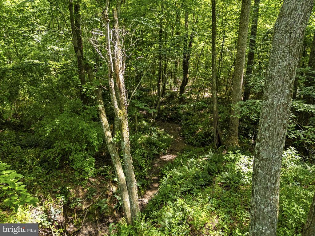 COUNTRY CREEK, AMISSVILLE, Virginia 20106, ,Land,COUNTRY CREEK,VACU2014232 MLS # VACU2014232