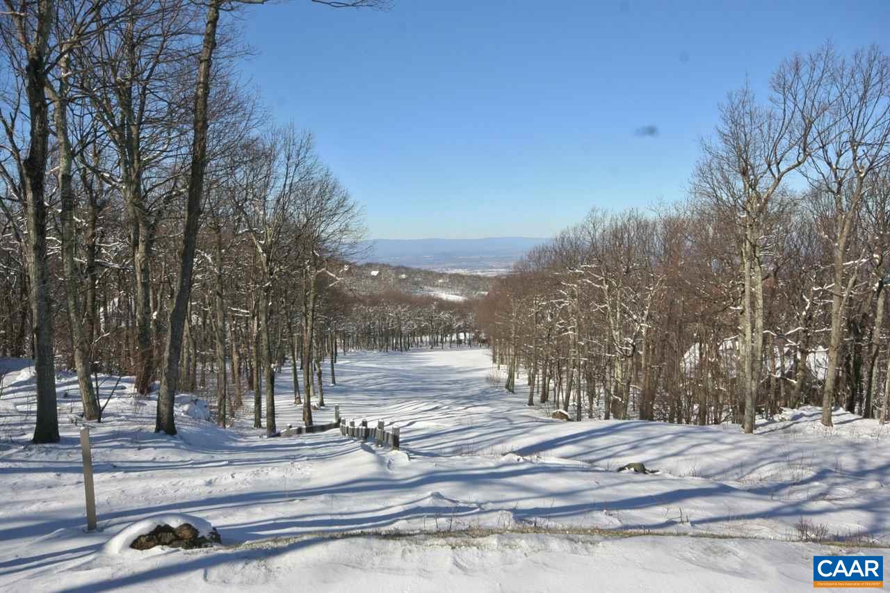 112 FAIRWAY OAKS LN, WINTERGREEN, Virginia 22958, ,Land,Chestnut Springs 14,112 FAIRWAY OAKS LN,679180 MLS # 679180 112 FAIRWAY OAKS LN, WINTERGREEN, Virginia 22958, ,Land,Chestnut Springs 14,112 FAIRWAY OAKS LN,679180 MLS # 679180