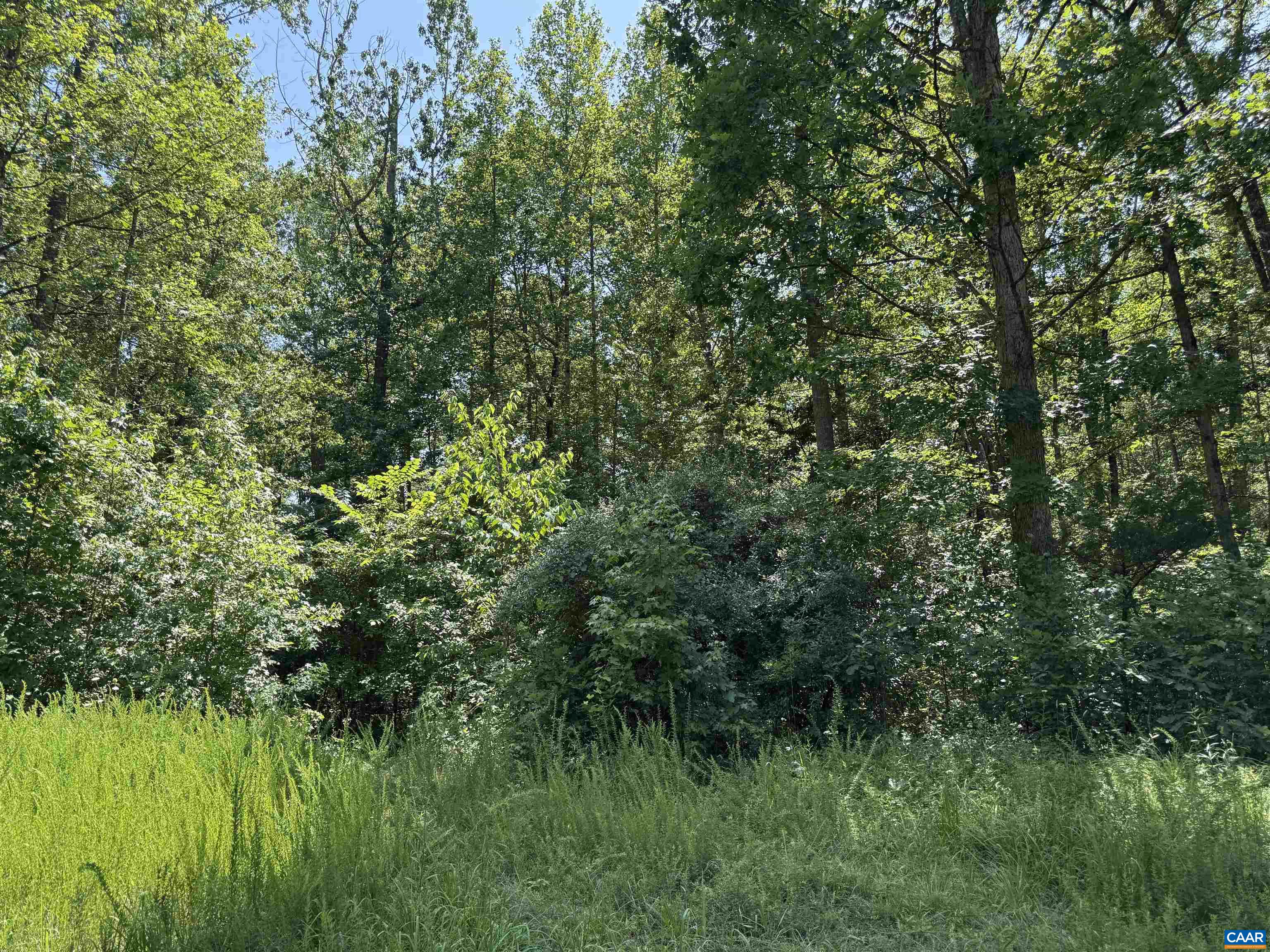 0 BAMBI CT, BEAVERDAM, Virginia 23015, ,Land,Wards Forest Lot 1 Sec C,0 BAMBI CT,679201 MLS # 679201