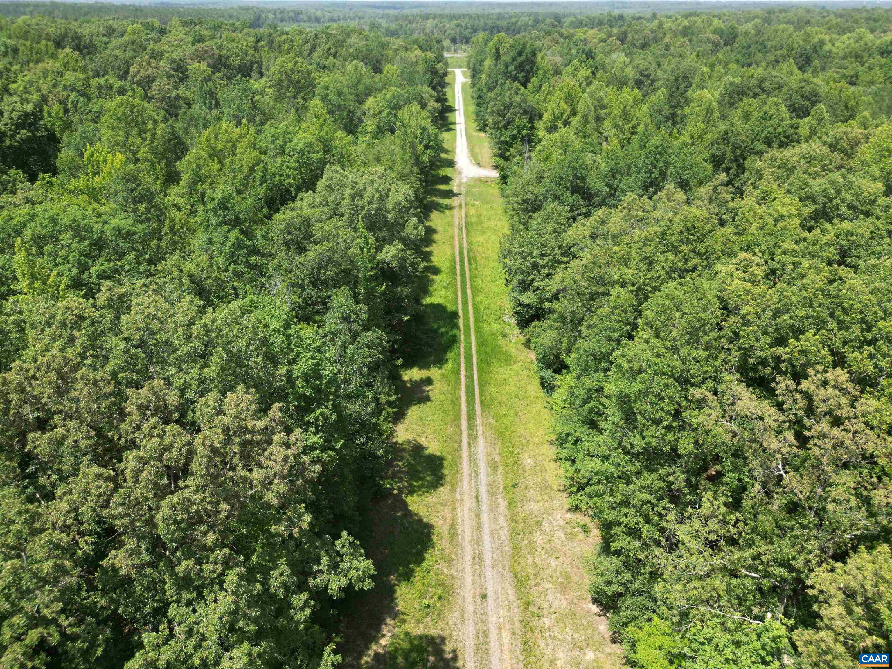 0 BAMBI CT, BEAVERDAM, Virginia 23015, ,Land,Wards Forest Lot 1 Sec C,0 BAMBI CT,679201 MLS # 679201 0 BAMBI CT, BEAVERDAM, Virginia 23015, ,Land,Wards Forest Lot 1 Sec C,0 BAMBI CT,679201 MLS # 679201