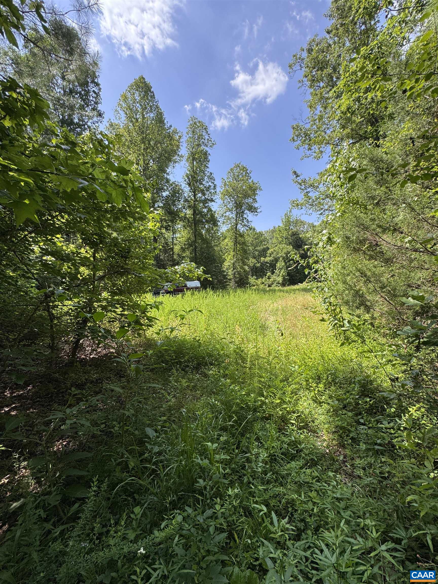 0 BAMBI CT, BEAVERDAM, Virginia 23015, ,Land,Wards Forest Lot 1 Sec C,0 BAMBI CT,679201 MLS # 679201 0 BAMBI CT, BEAVERDAM, Virginia 23015, ,Land,Wards Forest Lot 1 Sec C,0 BAMBI CT,679201 MLS # 679201