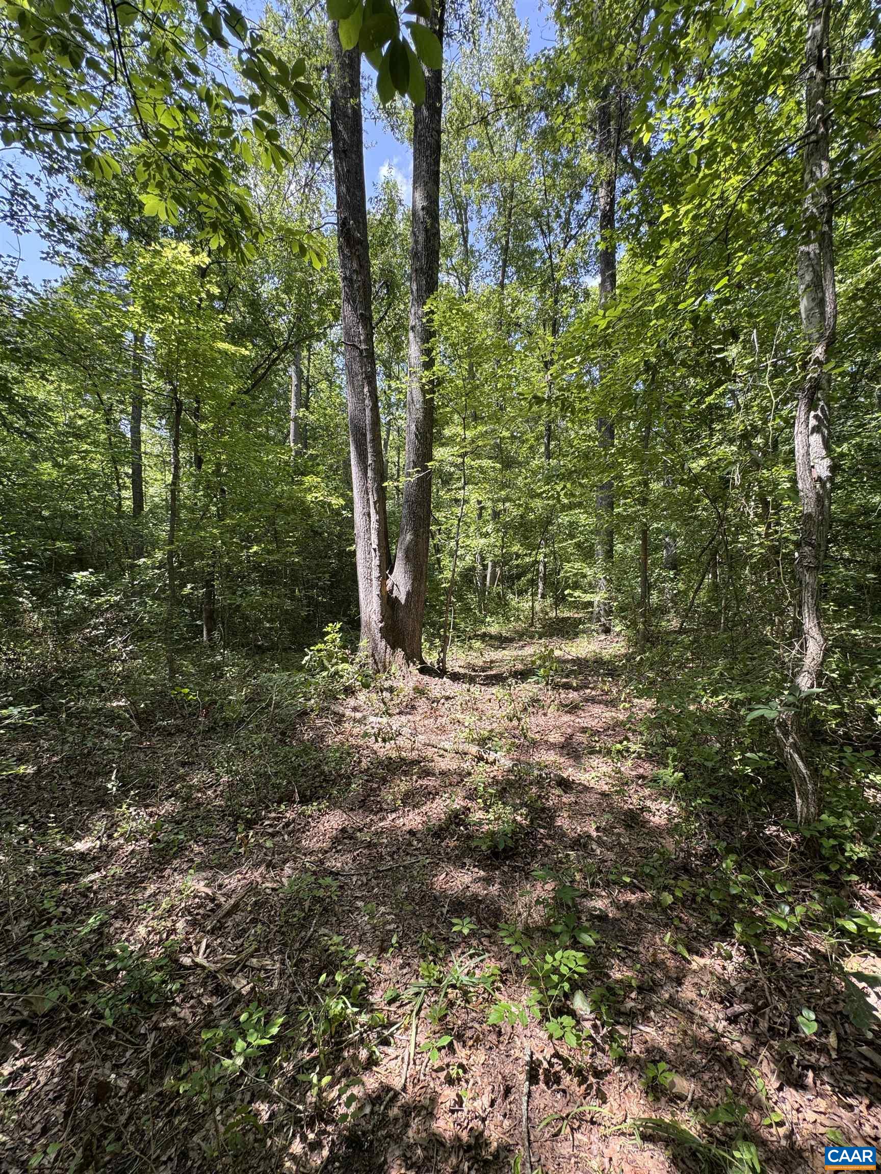 0 BAMBI CT, BEAVERDAM, Virginia 23015, ,Land,Wards Forest Lot 1 Sec C,0 BAMBI CT,679201 MLS # 679201 0 BAMBI CT, BEAVERDAM, Virginia 23015, ,Land,Wards Forest Lot 1 Sec C,0 BAMBI CT,679201 MLS # 679201