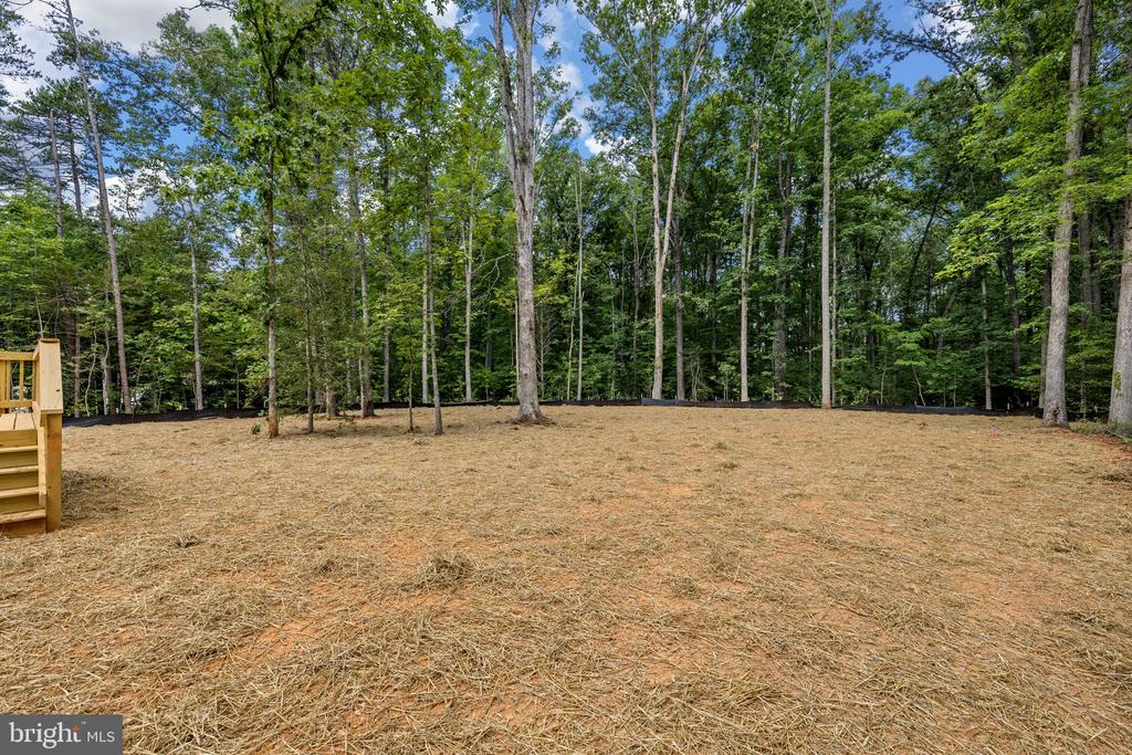 5321 WILTON LN, PARTLOW, Virginia 22534, 3 Bedrooms Bedrooms, ,2 BathroomsBathrooms,Residential,5321 WILTON LN,VASP2042172 MLS # VASP2042172 5321 WILTON LN, PARTLOW, Virginia 22534, 3 Bedrooms Bedrooms, ,2 BathroomsBathrooms,Residential,5321 WILTON LN,VASP2042172 MLS # VASP2042172