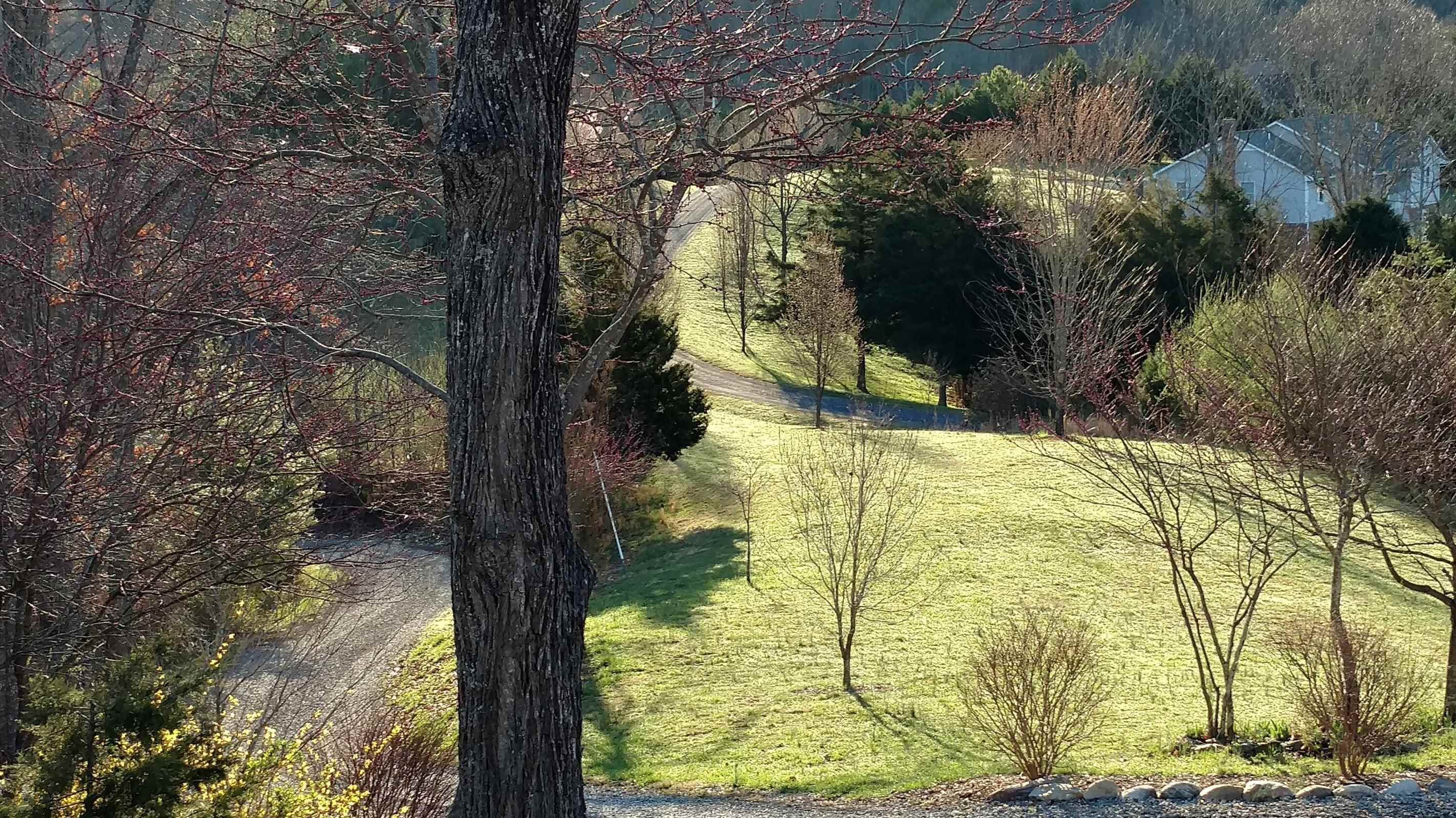 40 WEAVERS WAY, BUENA VISTA, Virginia 24416, 3 Bedrooms Bedrooms, ,4 BathroomsBathrooms,Residential,40 Weavers Way Buena Vista, VA 24416,40 WEAVERS WAY,679179 MLS # 679179 40 WEAVERS WAY, BUENA VISTA, Virginia 24416, 3 Bedrooms Bedrooms, ,4 BathroomsBathrooms,Residential,40 Weavers Way Buena Vista, VA 24416,40 WEAVERS WAY,679179 MLS # 679179