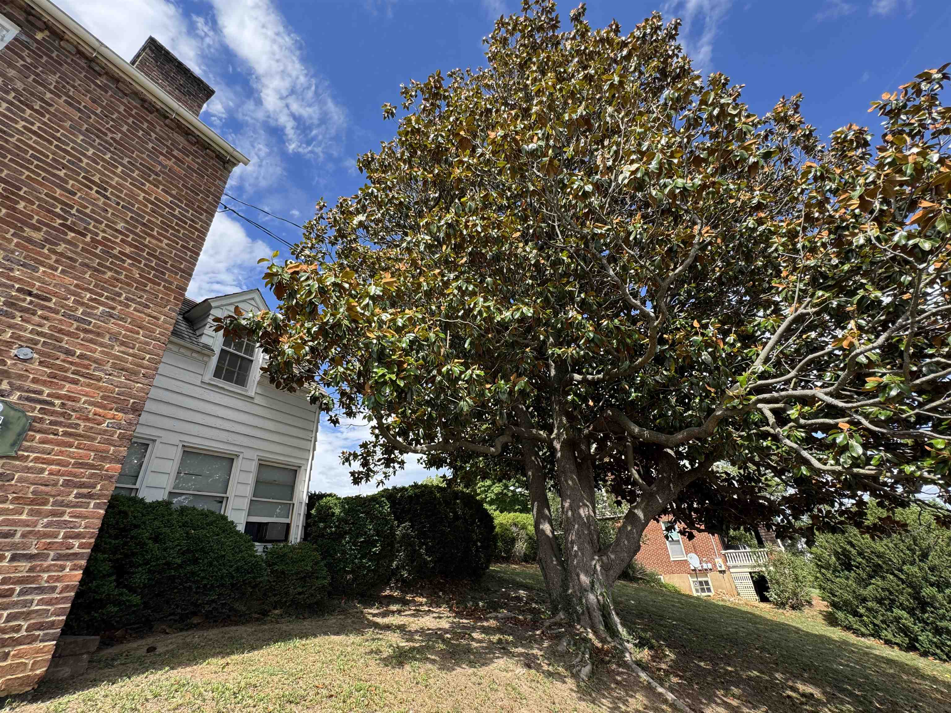 249 SYCAMORE ST, STAUNTON, Virginia 24401, 4 Bedrooms Bedrooms, ,2 BathroomsBathrooms,Residential,Scott House,249 SYCAMORE ST,679216 MLS # 679216 249 SYCAMORE ST, STAUNTON, Virginia 24401, 4 Bedrooms Bedrooms, ,2 BathroomsBathrooms,Residential,Scott House,249 SYCAMORE ST,679216 MLS # 679216