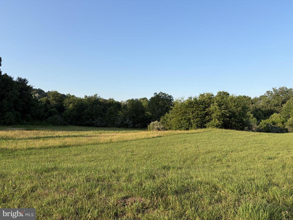 BANK ROAD, WASHINGTON, Virginia 22747, ,Land,BANK ROAD,VARP2002740 MLS # VARP2002740 BANK ROAD, WASHINGTON, Virginia 22747, ,Land,BANK ROAD,VARP2002740 MLS # VARP2002740