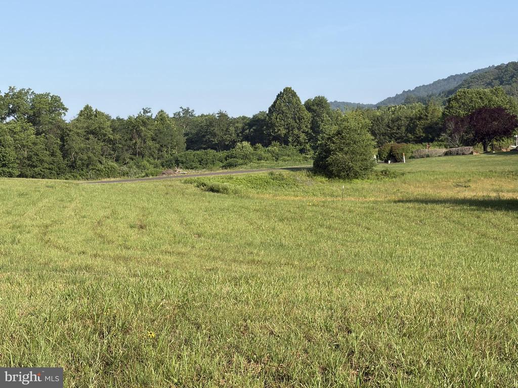 BANK ROAD, WASHINGTON, Virginia 22747, ,Land,BANK ROAD,VARP2002740 MLS # VARP2002740 BANK ROAD, WASHINGTON, Virginia 22747, ,Land,BANK ROAD,VARP2002740 MLS # VARP2002740