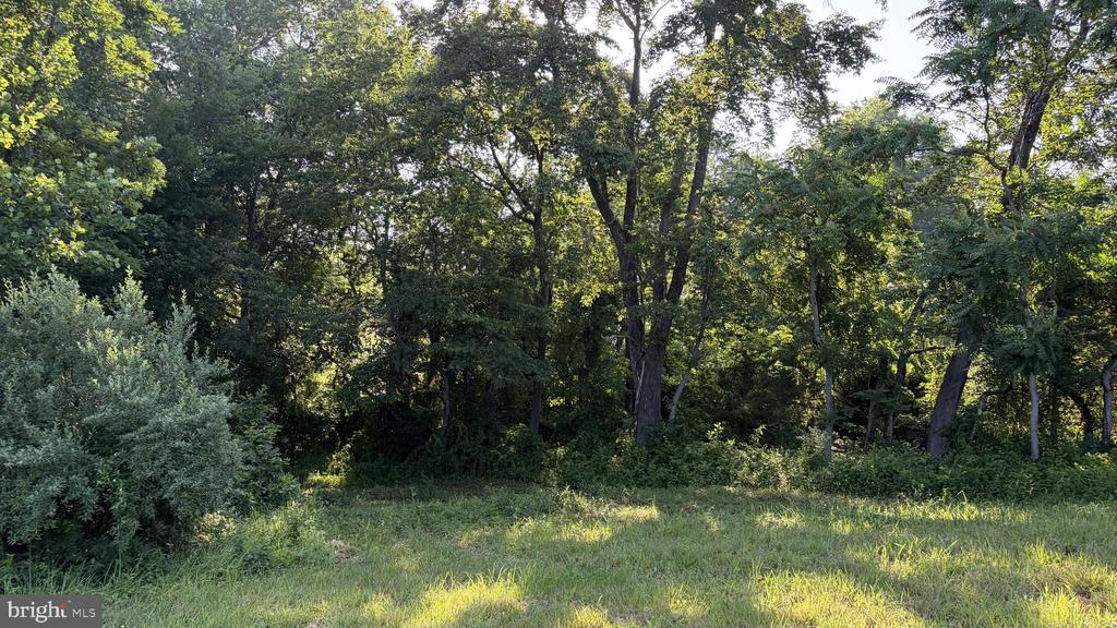 BANK ROAD, WASHINGTON, Virginia 22747, ,Land,BANK ROAD,VARP2002740 MLS # VARP2002740 BANK ROAD, WASHINGTON, Virginia 22747, ,Land,BANK ROAD,VARP2002740 MLS # VARP2002740