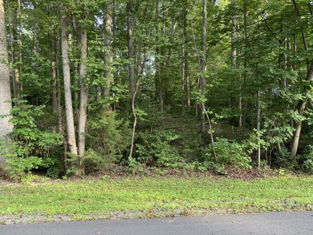 TBD ELLIS DR, LOUISA, Virginia 23093, ,Land,TBD ELLIS DR,679238 MLS # 679238
